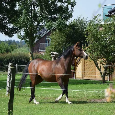 Maashof Apartment Husum (Schleswig-Holstein)